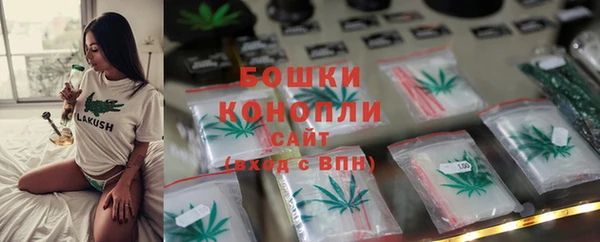 СК Аркадак
