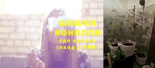 СК Аркадак