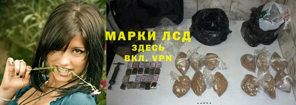 гашик Володарск