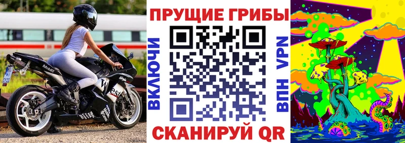 магазин    Приволжск  Псилоцибиновые грибы ЛСД 
